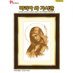 ��ǰ ������