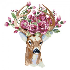 ��ǰ ������