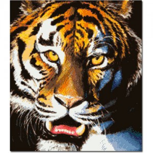 ��ǰ ������