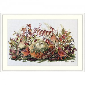 ��ǰ�̹���