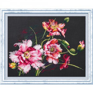 ��ǰ ������