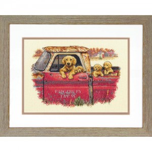 ��ǰ ������