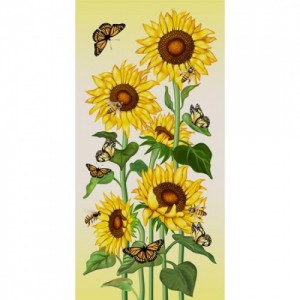 ��ǰ ������