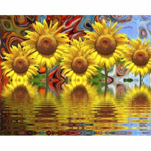 ��ǰ ������