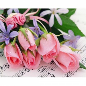 ��ǰ ������