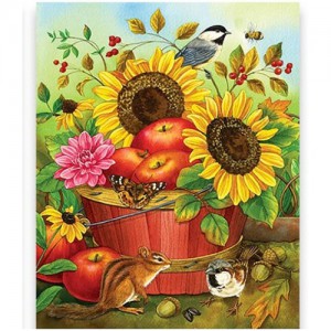 ��ǰ ������