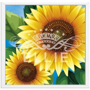 ��ǰ ������