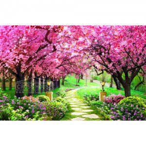 ��ǰ�̹���