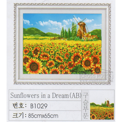 ��ǰ�̹���