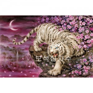 ��ǰ�̹���