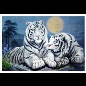 ��ǰ�̹���